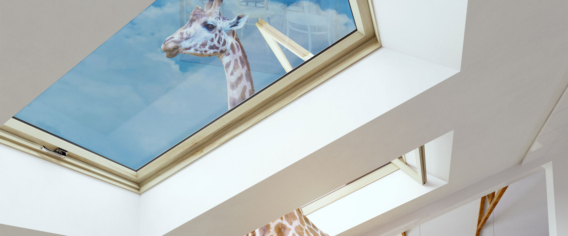 Giraffe streckt Kopf aus dem Fenster